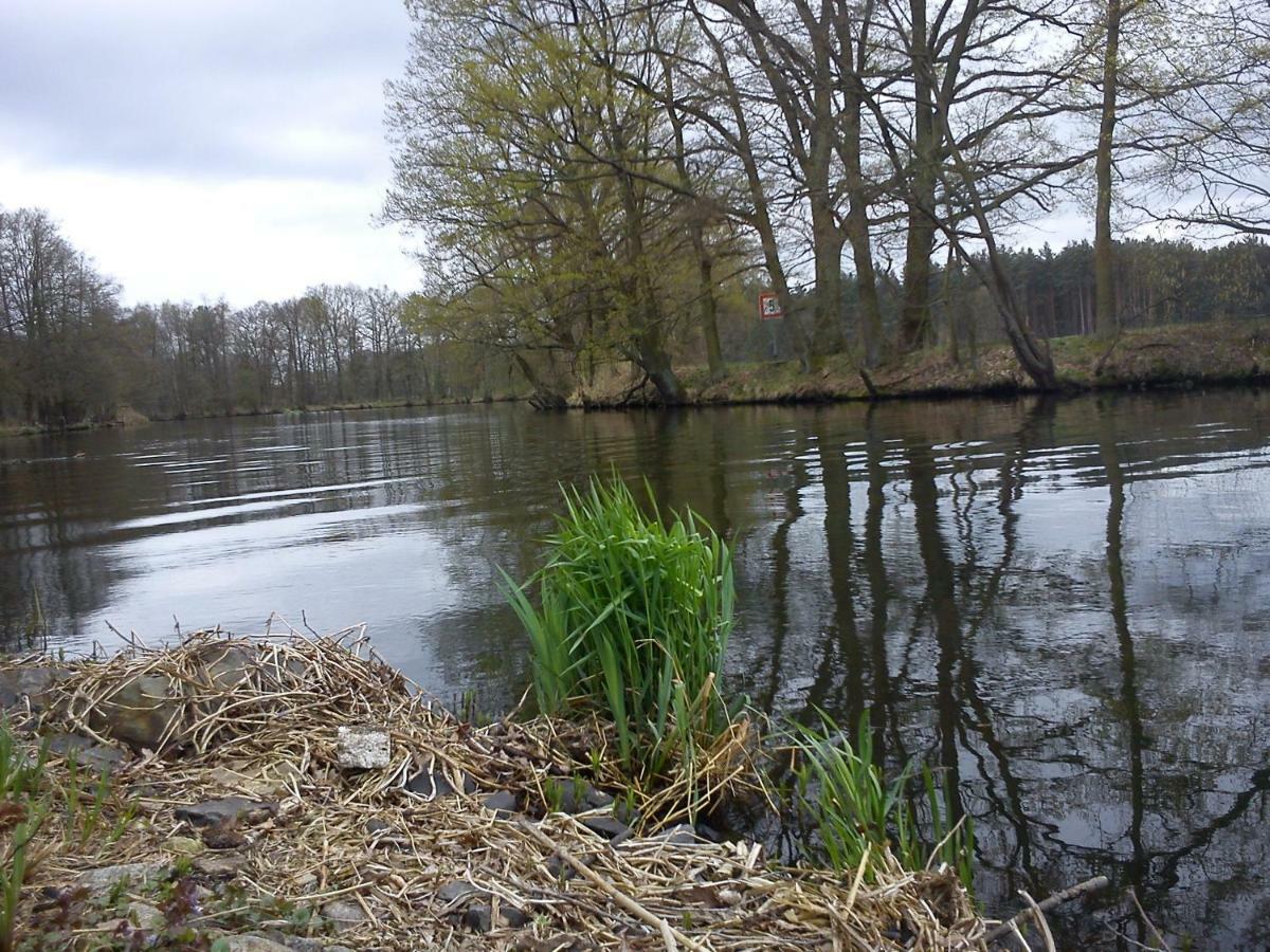 Ferienwohnungen 3 Birken Briesen  Bagian luar foto